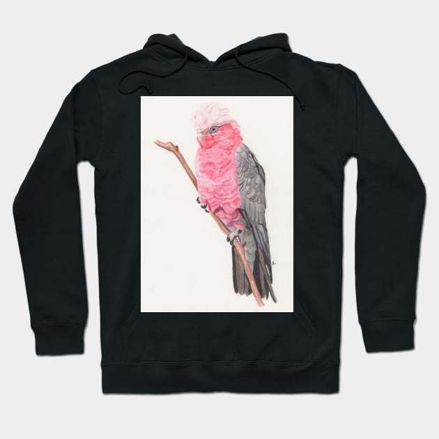 original pencil Drawing of galah Hoodie by Accabella